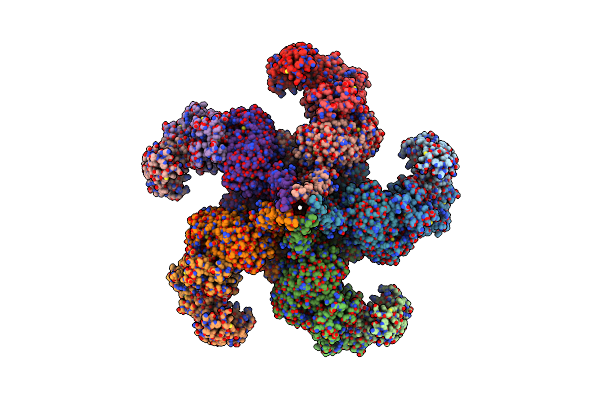 6J5T image