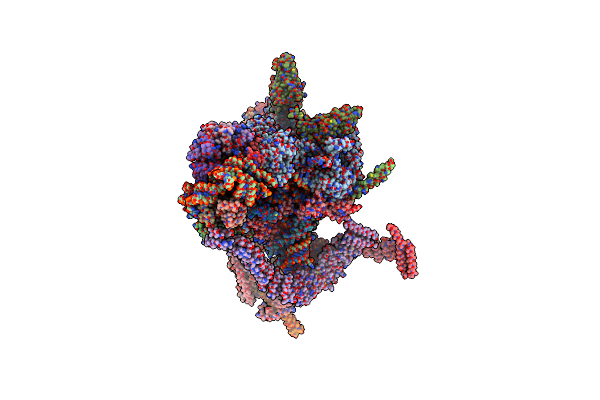 6J6G image