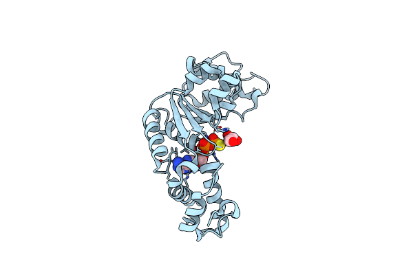 6J7E image