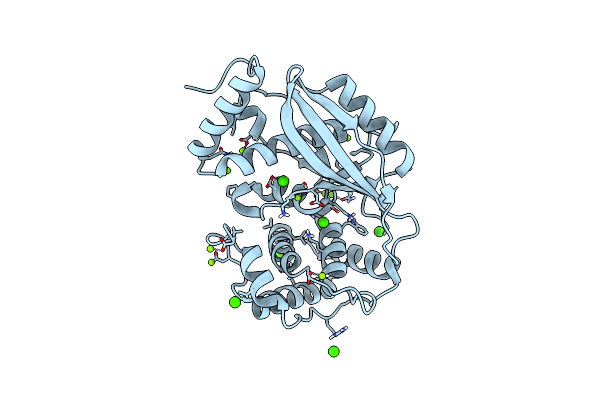 6J7Q image