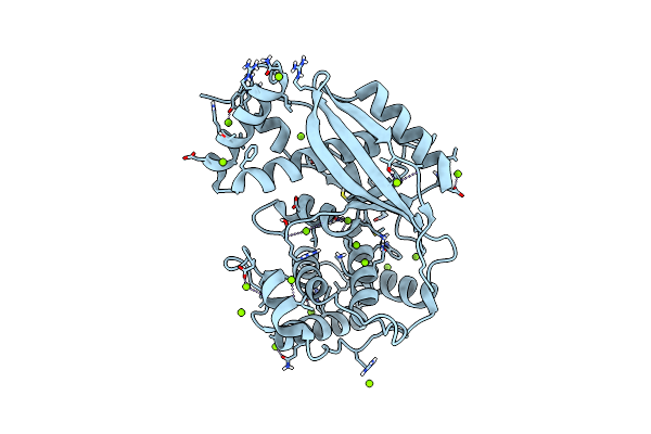 6J7R image