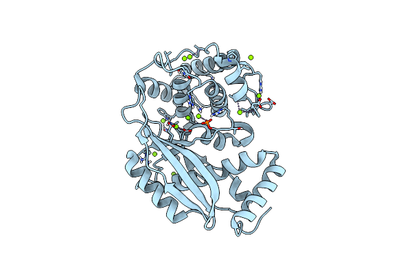 6J7S image