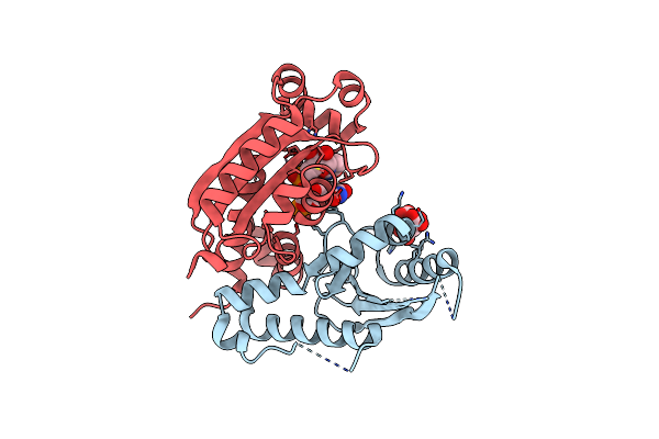 6J7Z image