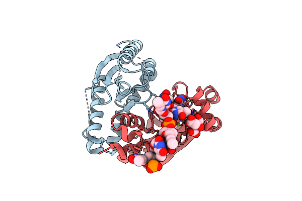 6J80 image