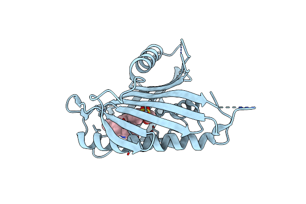 6J81 image