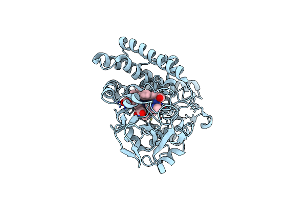 6J83 image