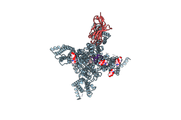 6J8E image