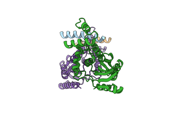 6J8N image