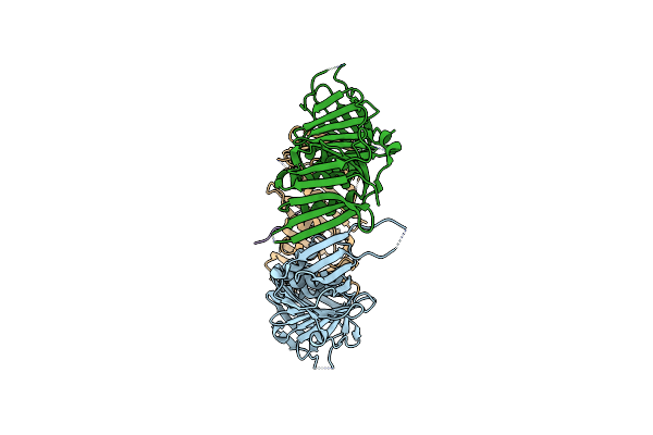 6J8Y image