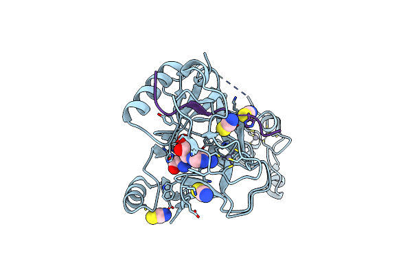 6J9J image