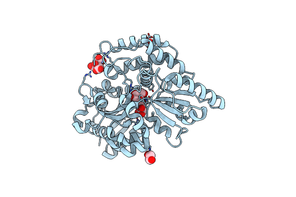 6J9Y image