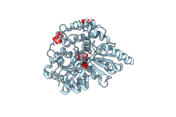 6JAD image
