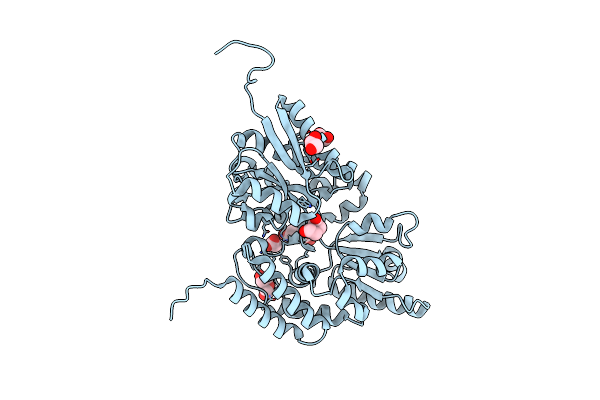 6JAL image