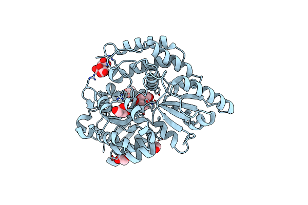 6JAQ image