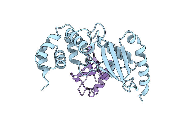 6JB6 image