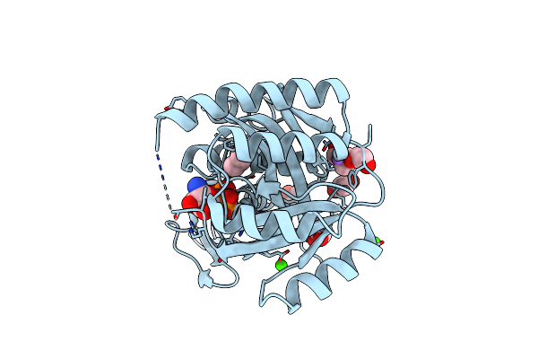 6JBD image