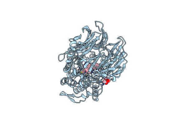 6JCI image