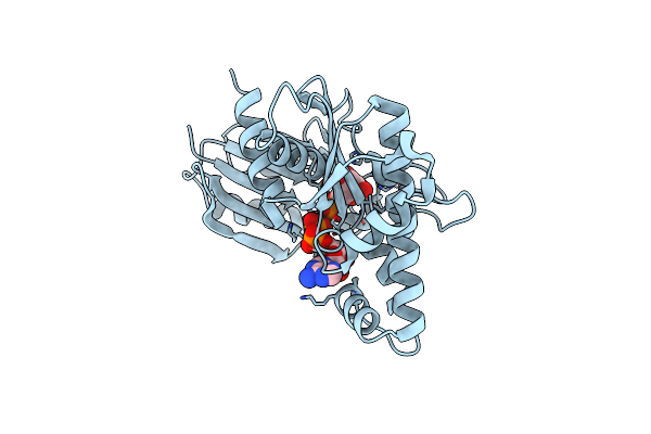 6JDB image