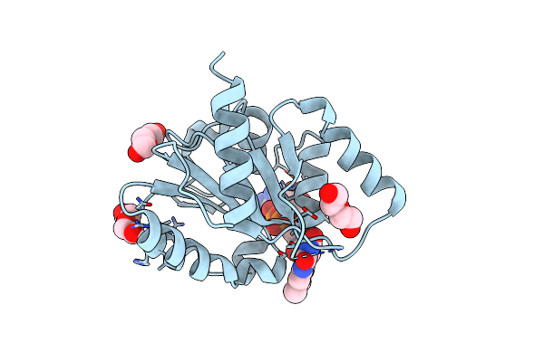 6JDD image