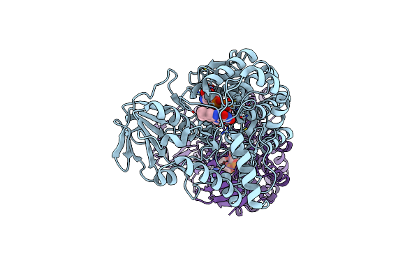 6JDK image
