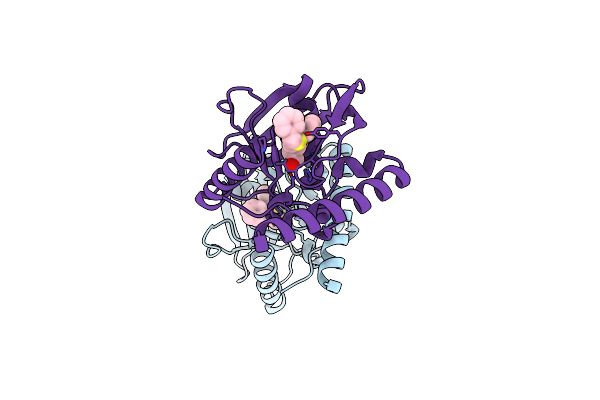 6JEV image