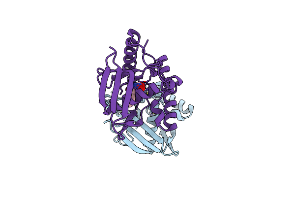 6JEX image