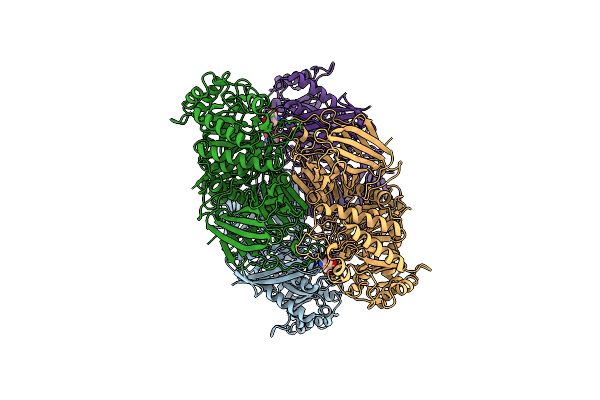 6JHP image