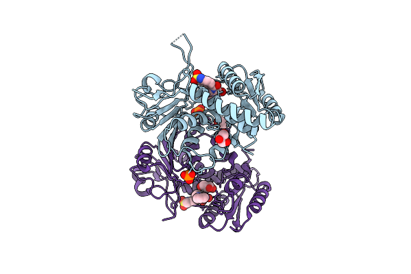 6JID image