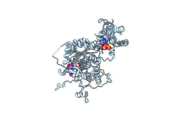 6JIG image