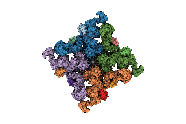 6JII image
