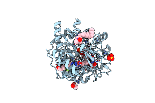6JMD image
