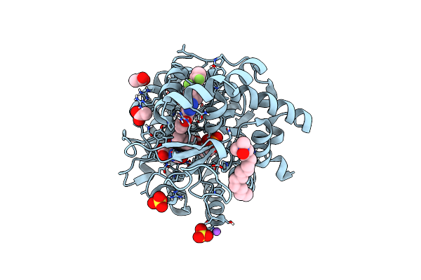 6JME image