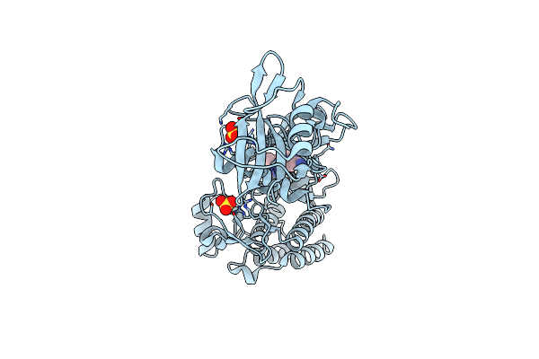 6JMF image