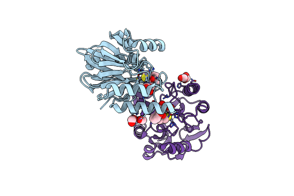 6JN6 image