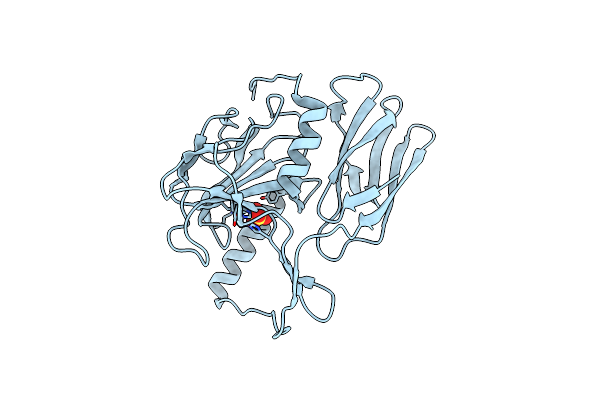 6JN8 image