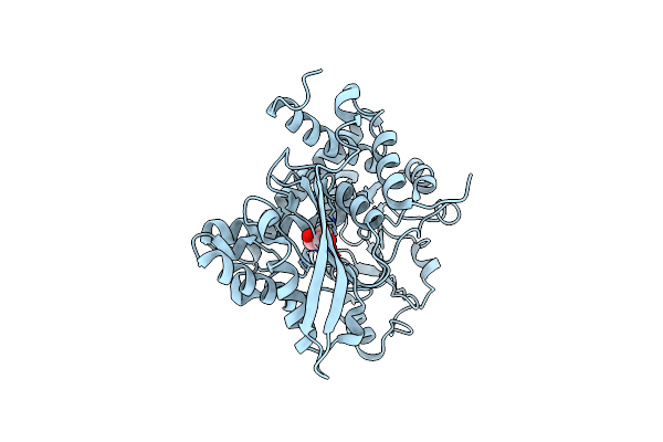 6JNC image