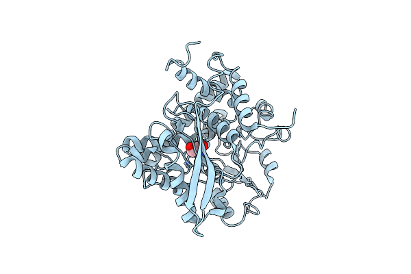 6JND image