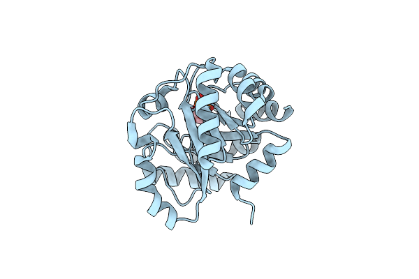 6JO3 image