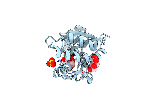 6JOG image
