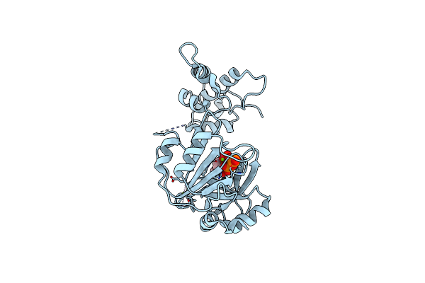 6JOQ image