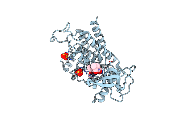 6JPJ image