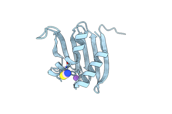 6JPT image
