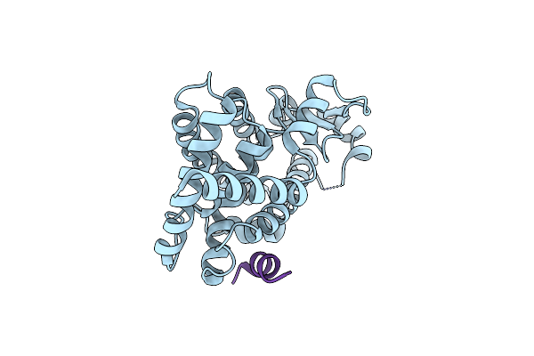 6JQ7 image