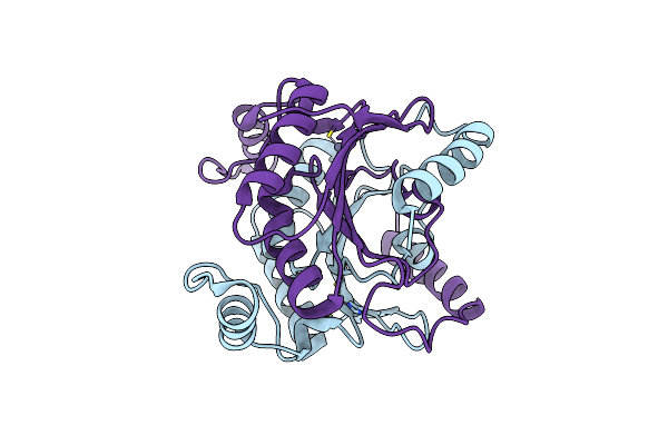 6JQC image