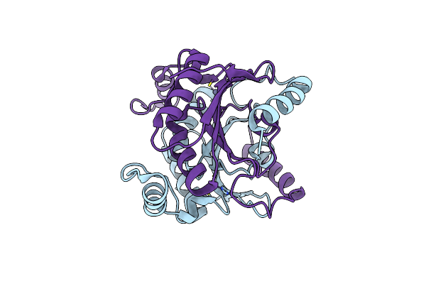 6JQD image