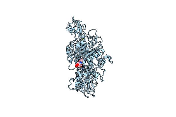 6JQF image