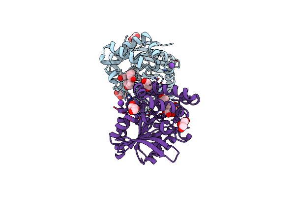 6JRC image