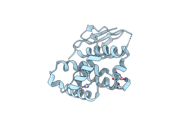 6JRE image