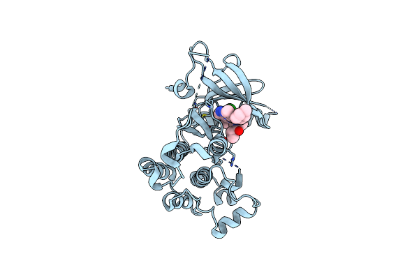 6JRJ image