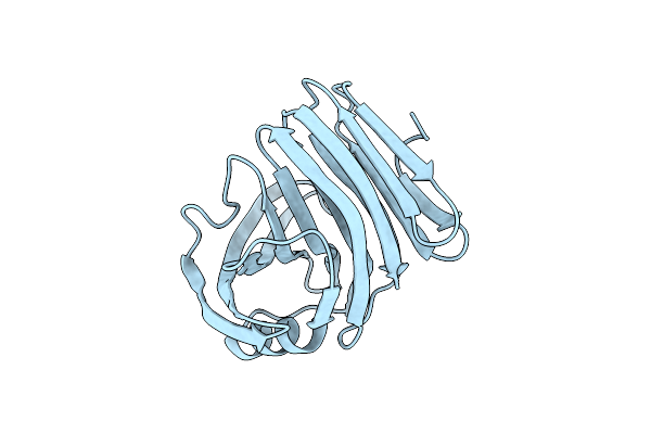 6JUG image